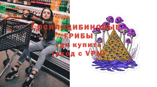 МДПВ Аркадак