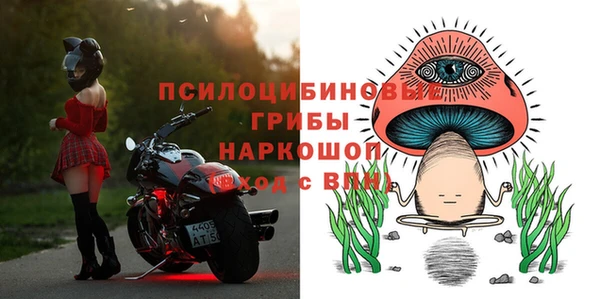 МДПВ Аркадак