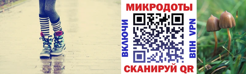 Псилоцибиновые грибы мицелий  как найти   Мирный 